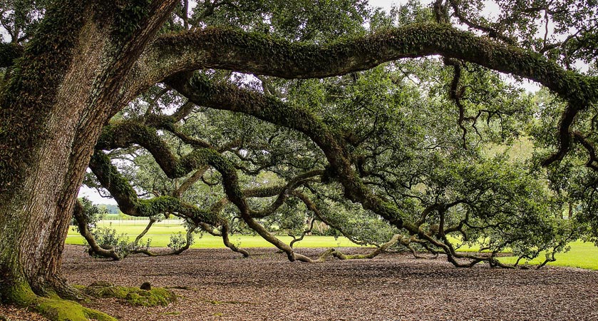 帮您省时省力的网站攻击测试